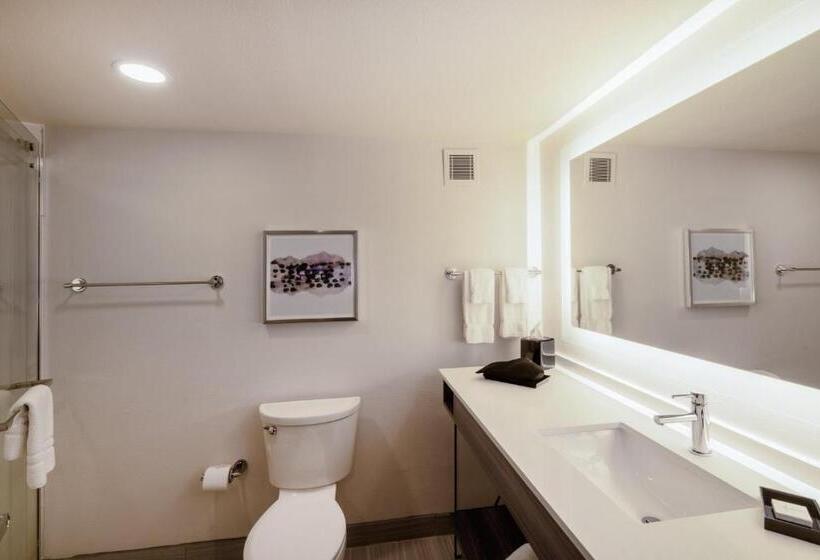 장애인을 위한 킹사이즈 침대 스탠다드 룸, Crowne Plaza Atlanta Ne   Norcross