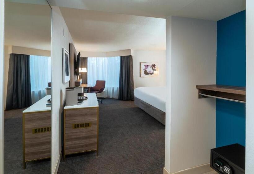 장애인을 위한 킹사이즈 침대 스탠다드 룸, Crowne Plaza Atlanta Ne   Norcross
