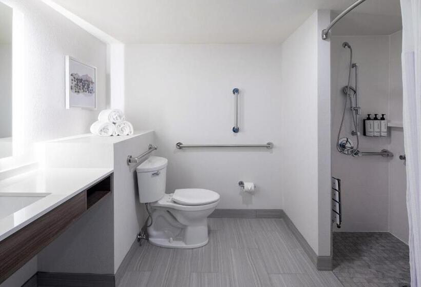 장애인을 위한 킹사이즈 침대 스탠다드 룸, Crowne Plaza Atlanta Ne   Norcross