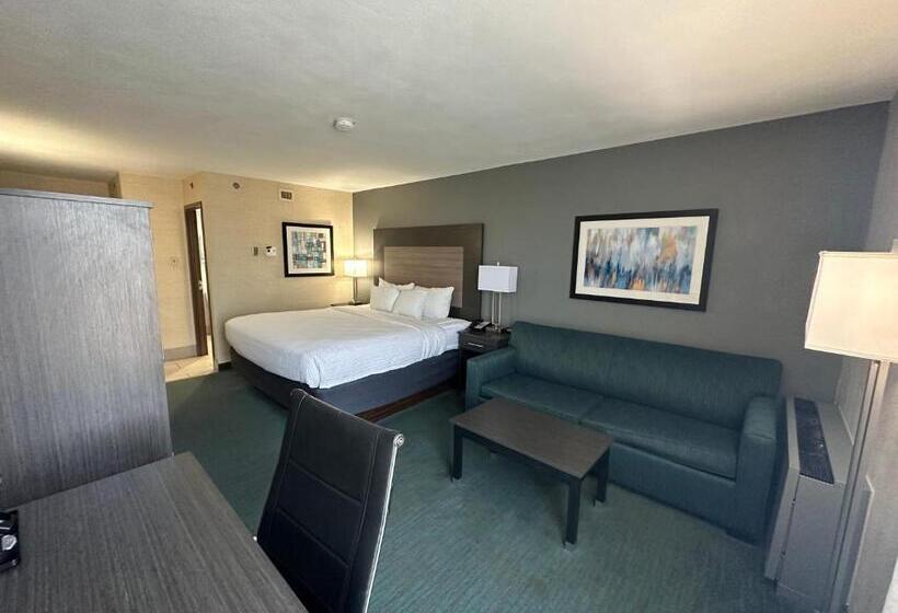 Номер Стандарт Кровать Кинг Адаптированный для Инвалидов, Comfort Inn Dallas North Love Field Airport
