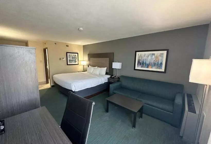 Standard-invahuone King-vuode, Comfort Inn Dallas North Love Field Airport