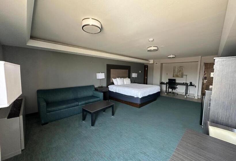 Номер Стандарт Кровать Кинг Адаптированный для Инвалидов, Comfort Inn Dallas North Love Field Airport