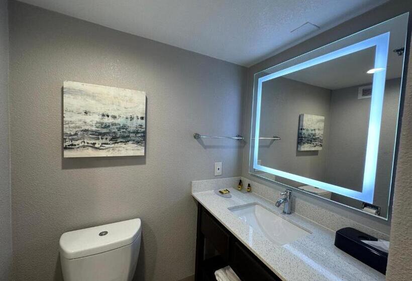 身障者適用キングサイズベッドルーム, Comfort Inn Dallas North Love Field Airport