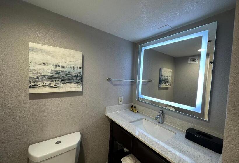 スタンダードトリプルルーム, Comfort Inn Dallas North Love Field Airport