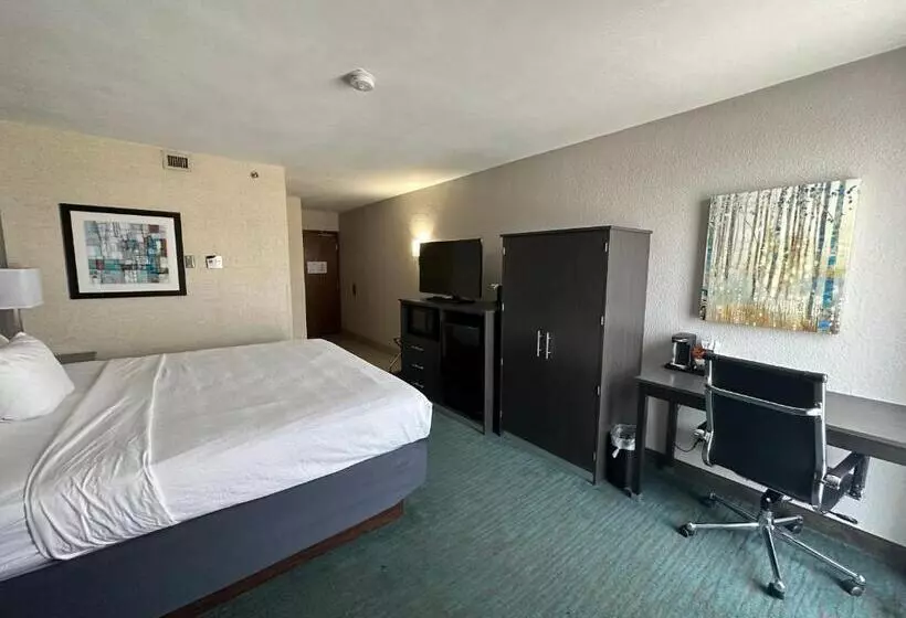 Standard Kolmen Hengen Huone, Comfort Inn Dallas North Love Field Airport