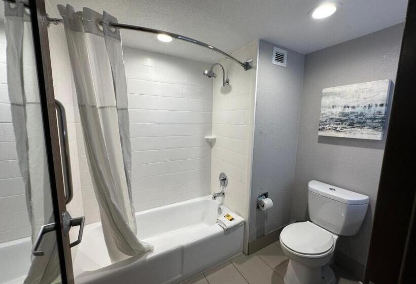 キングサイズベッドのスタンダードルーム, Comfort Inn Dallas North Love Field Airport