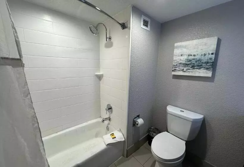 Standard Neljän Hengen Huone, Comfort Inn Dallas North Love Field Airport