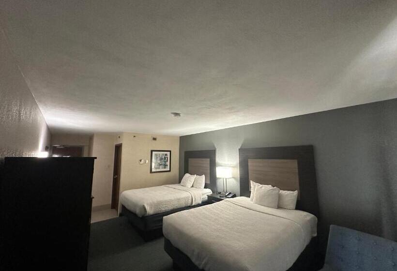 スタンダード４人部屋, Comfort Inn Dallas North Love Field Airport