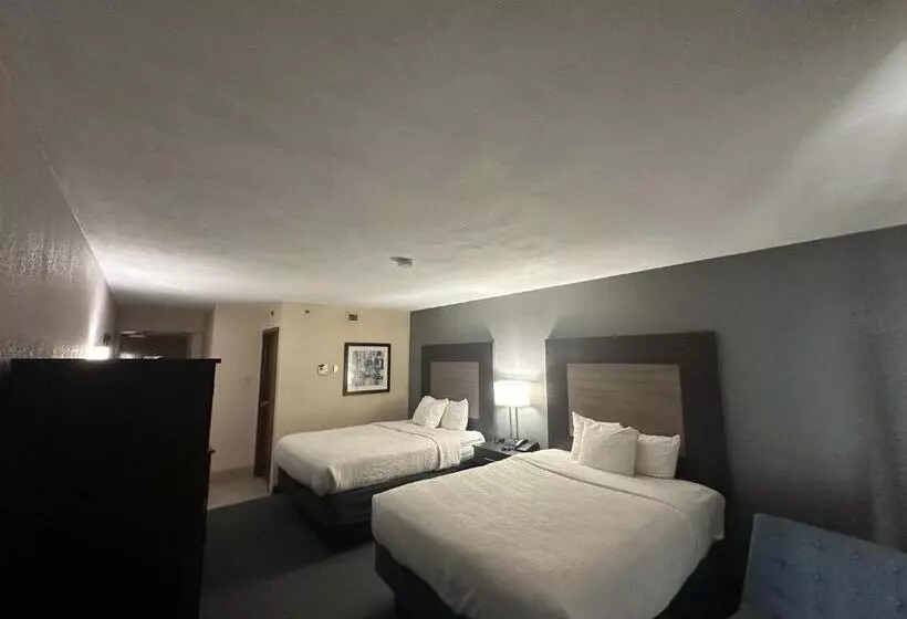 Standard Neljän Hengen Huone, Comfort Inn Dallas North Love Field Airport