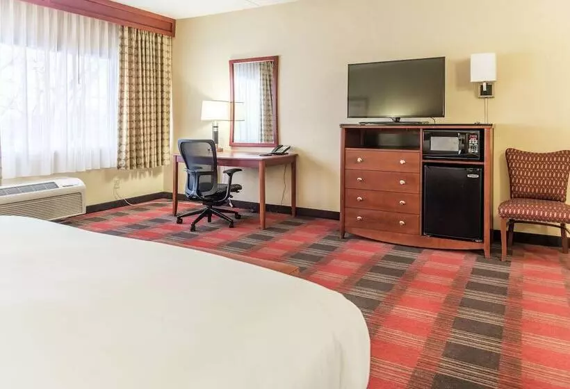 ジュニアスイート, Doubletree By Hilton Holland