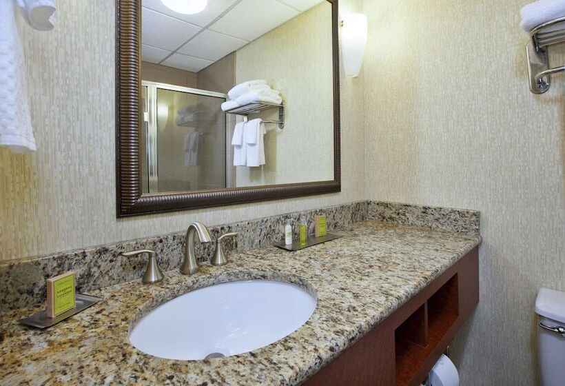 Номер Стандарт Двуспальная Кровать, Doubletree By Hilton Holland