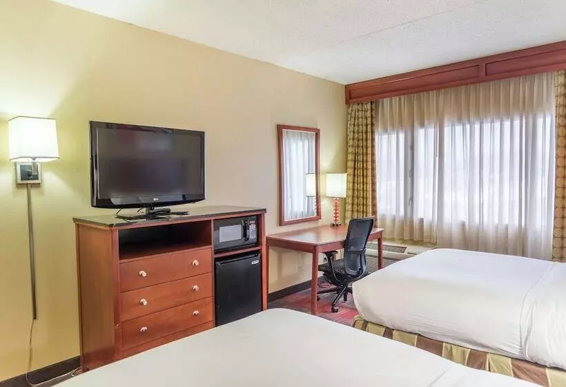 ２ダブルベッドのスタンダードルーム, Doubletree By Hilton Holland