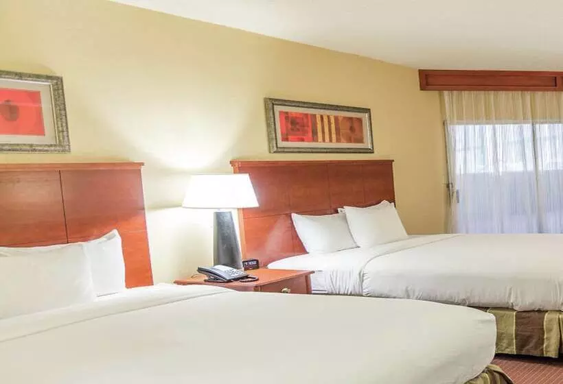 ２ダブルベッドのスタンダードルーム, Doubletree By Hilton Holland