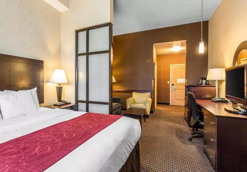 身障者適用キングサイズベッドルーム, Doubletree By Hilton Holland