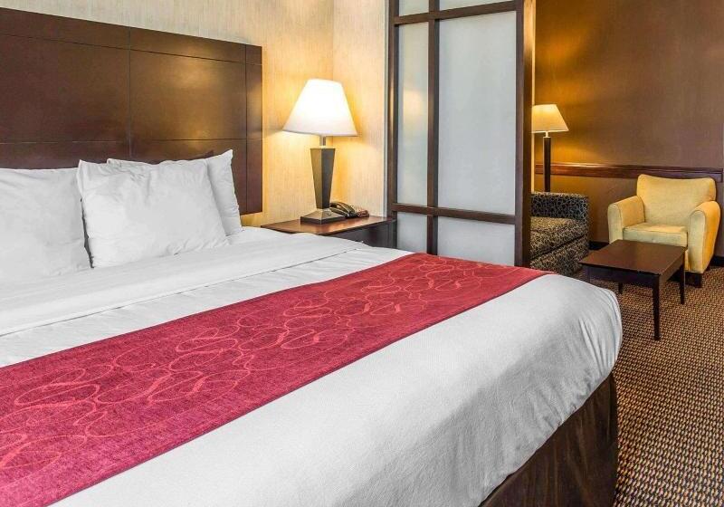 Номер Стандарт Кровать Кинг Адаптированный для Инвалидов, Doubletree By Hilton Holland