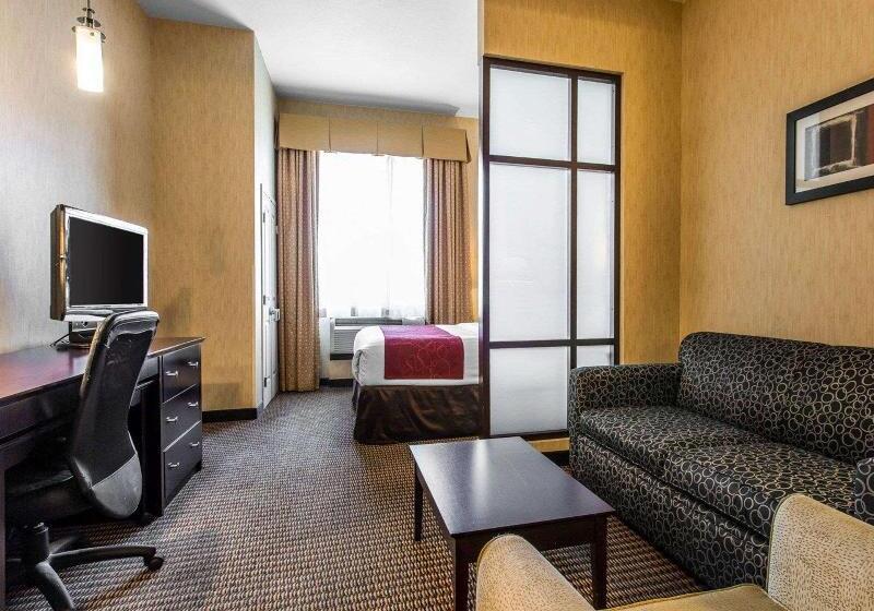 Номер Стандарт Кровать Кинг Адаптированный для Инвалидов, Doubletree By Hilton Holland