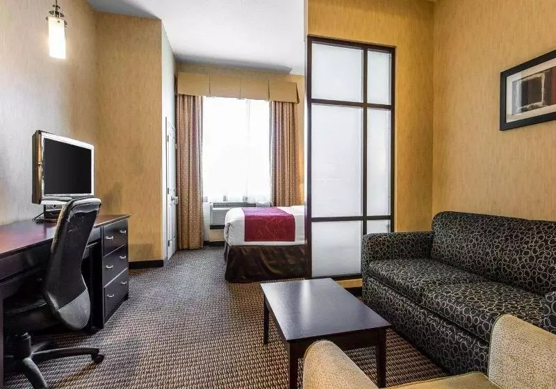 身障者適用キングサイズベッドルーム, Doubletree By Hilton Holland