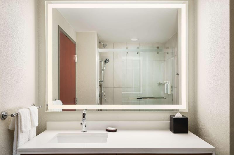 Номер Стандарт, Doubletree By Hilton Holland