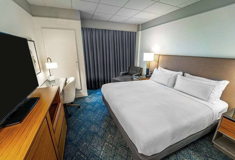 标准间带双人床, Doubletree By Hilton Tampa Rocky Point Waterfront