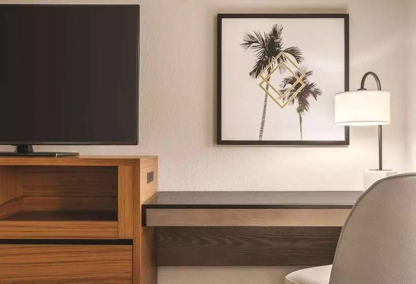 ２ダブルベッドのスタンダードルーム, Doubletree By Hilton Tampa Rocky Point Waterfront