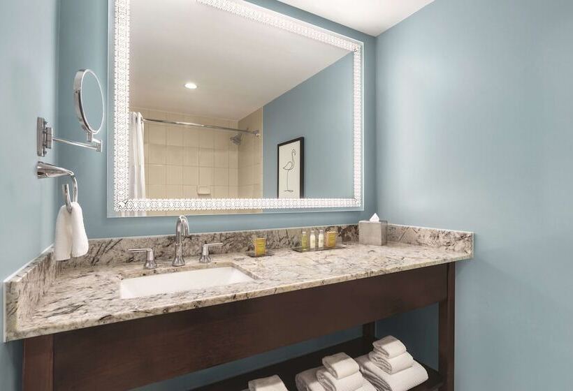 带2个双人床的标准工作室, Doubletree By Hilton Tampa Rocky Point Waterfront