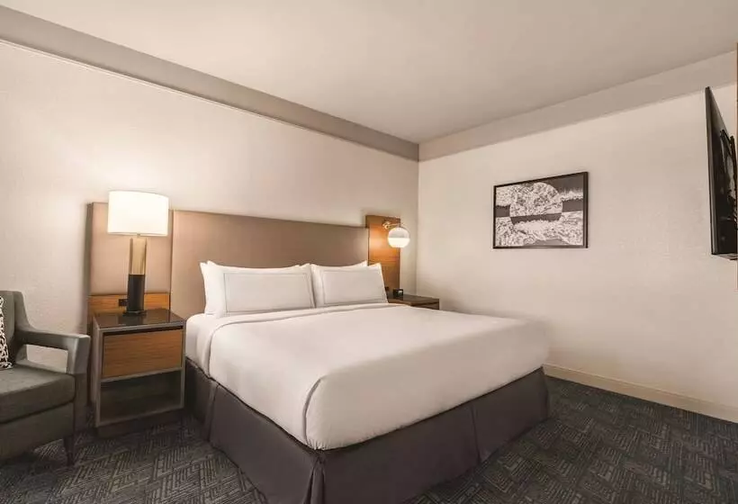 身障者適用スイートルーム, Doubletree By Hilton Tampa Rocky Point Waterfront