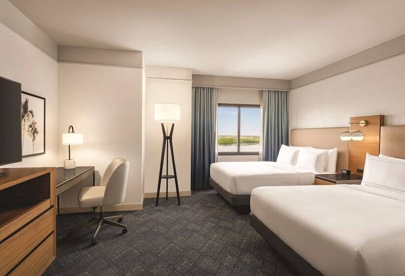 带2个双人床的标准工作室, Doubletree By Hilton Tampa Rocky Point Waterfront