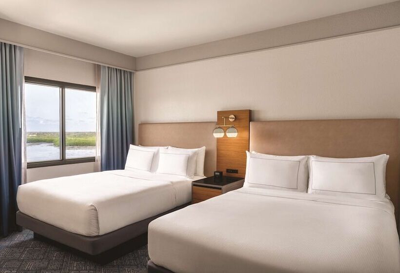 2ダブルベッドのスタンダードルーム, Doubletree By Hilton Tampa Rocky Point Waterfront