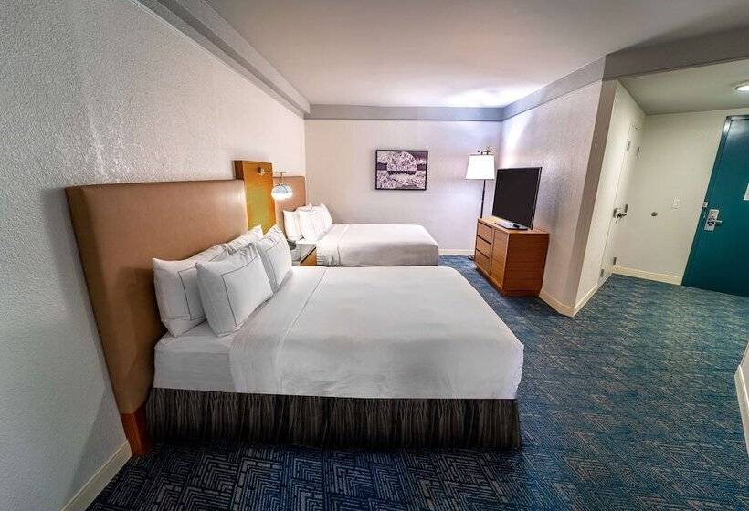 スイート, Doubletree By Hilton Tampa Rocky Point Waterfront