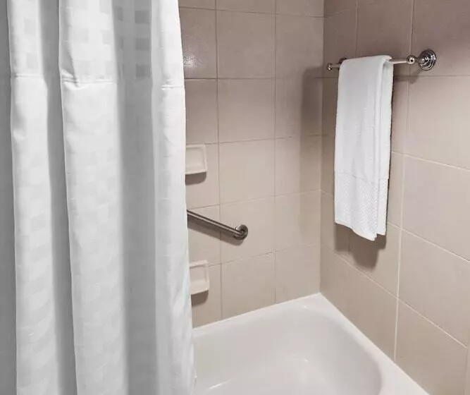 ２ダブルベッドのスタンダードルーム, Wyndham Columbus