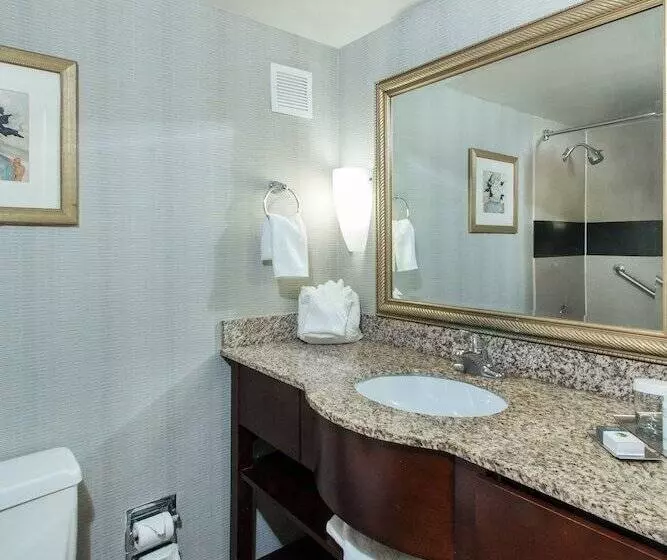 ダブルベッドスタンダードルーム, Wyndham Columbus
