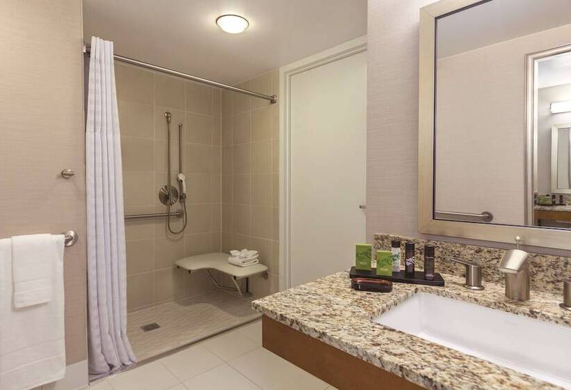 جناح لذوى الاحتياجات الخاصة, Embassy Suites By Hilton Anaheim Orange