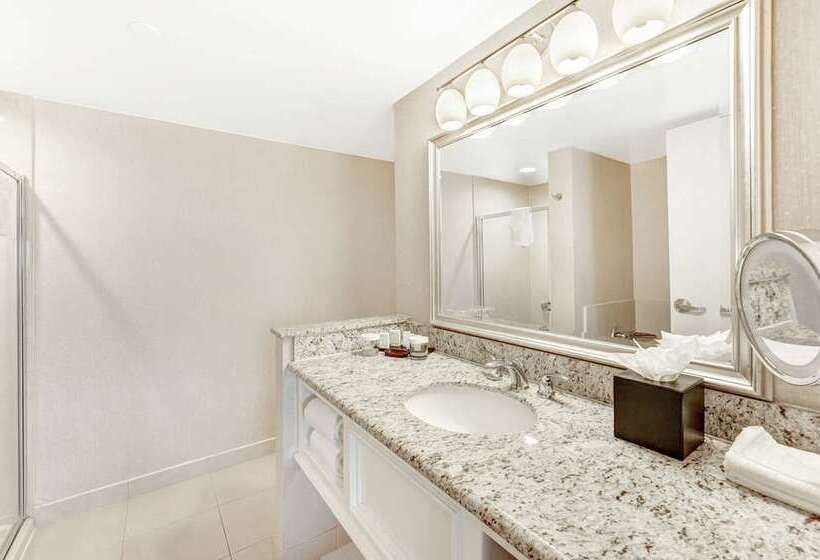 جناح, Embassy Suites By Hilton Anaheim Orange