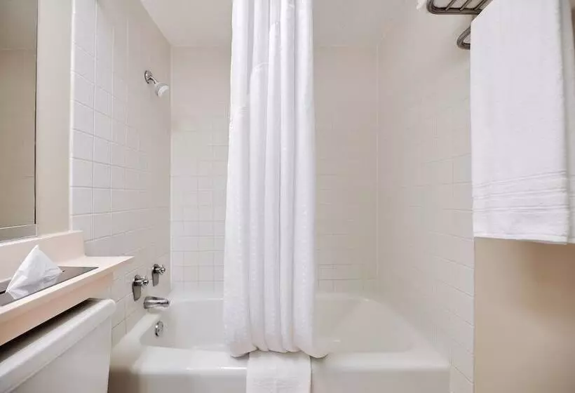 اتاق استاندارد با 2 تخت دوبل, Glendale Express Hotel Los Angeles