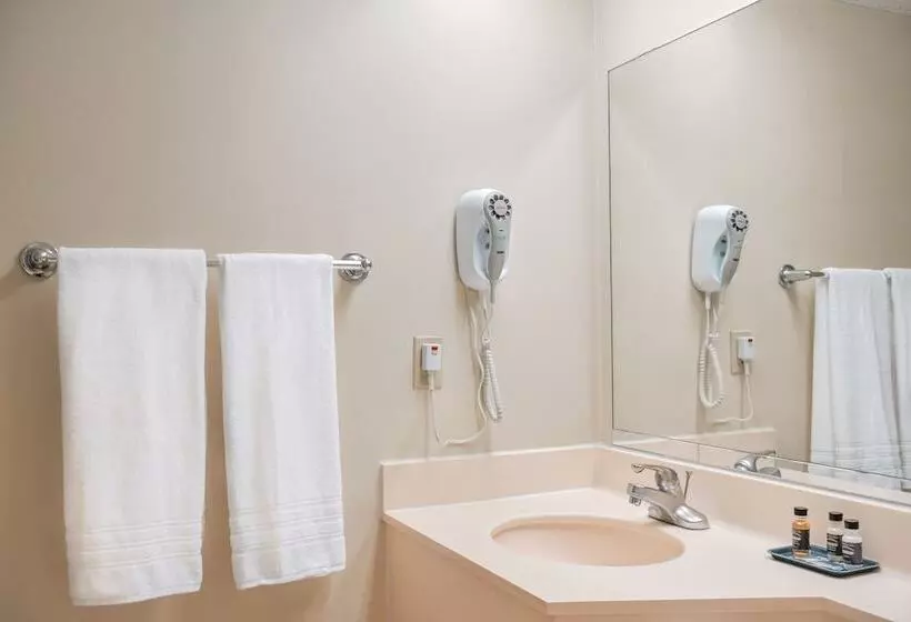 اتاق استاندارد با 2 تخت دوبل, Glendale Express Hotel Los Angeles