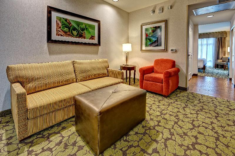 غرفة قياسية سرير كينج, Glendale Express Hotel Los Angeles