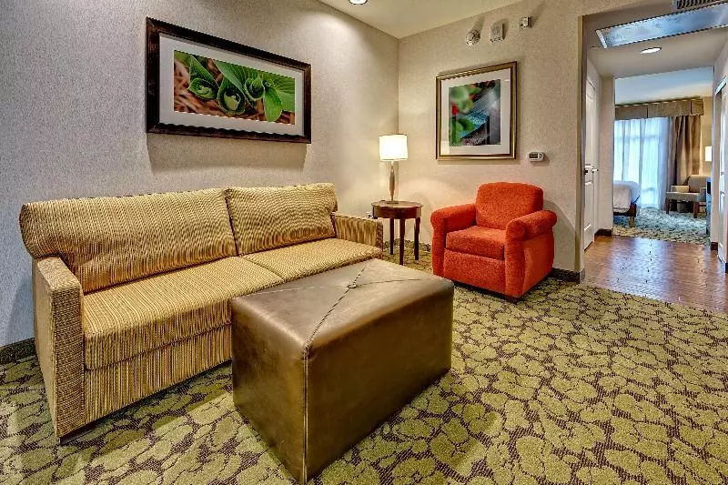 اتاق استاندارد با تخت بزرگ, Glendale Express Hotel Los Angeles
