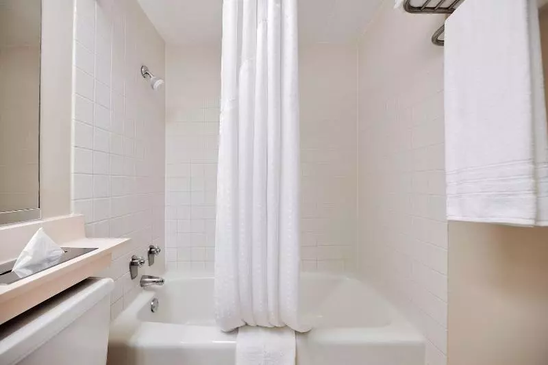 اتاق استاندارد با تخت بزرگ, Glendale Express Hotel Los Angeles