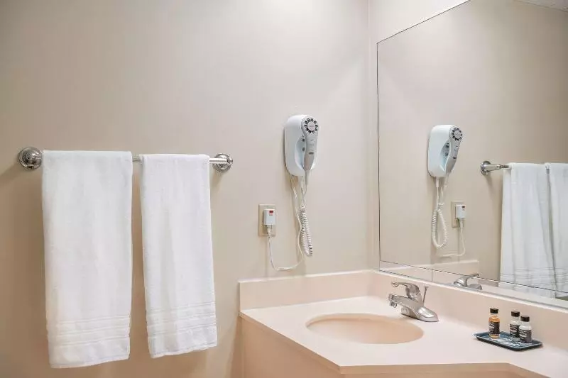 اتاق استاندارد با تخت بزرگ, Glendale Express Hotel Los Angeles