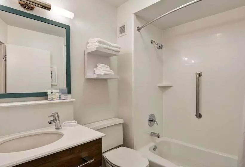 ２ダブルベッドのスタンダードルーム, Hampton Inn Columbia I26 Airport