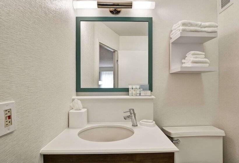 اتاق استاندارد با 2 تخت دوبل, Hampton Inn Columbia I26 Airport