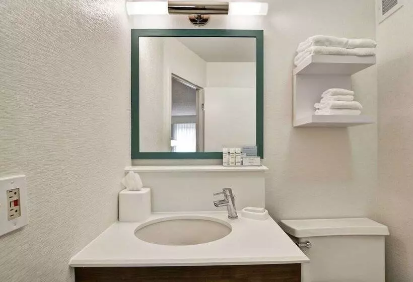 ２ダブルベッドのスタンダードルーム, Hampton Inn Columbia I26 Airport