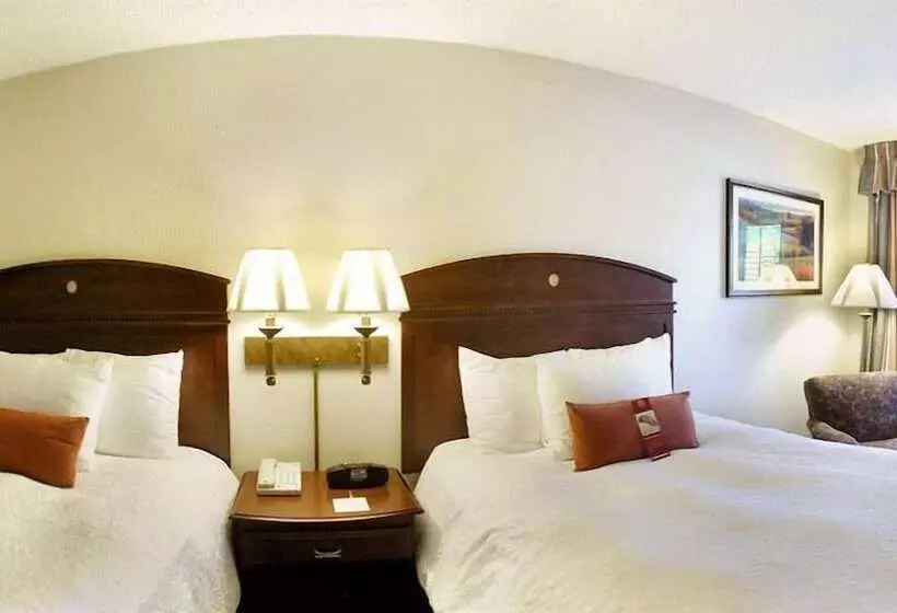 ２ダブルベッドのスタンダードルーム, Hampton Inn Dalton