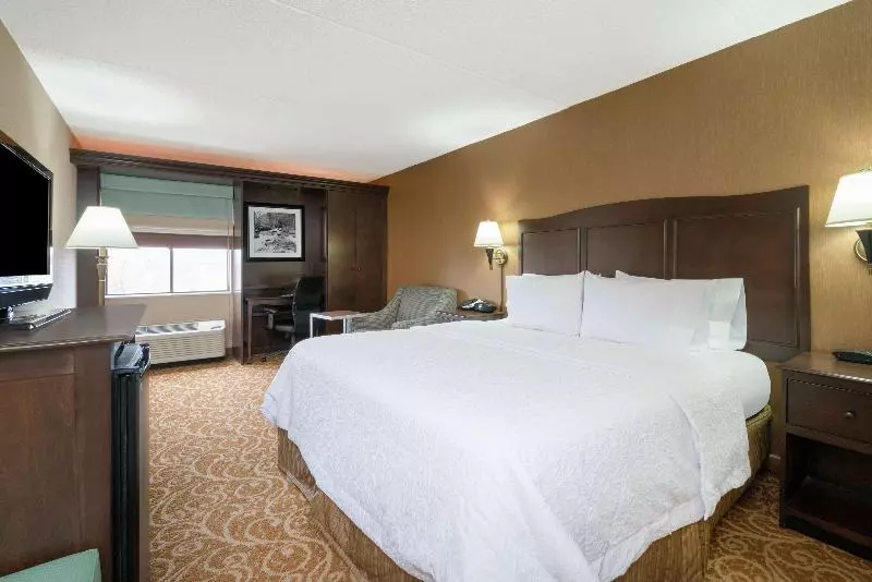 キングサイズベッドのスタンダードルーム, Hampton Inn Downingtown/exton