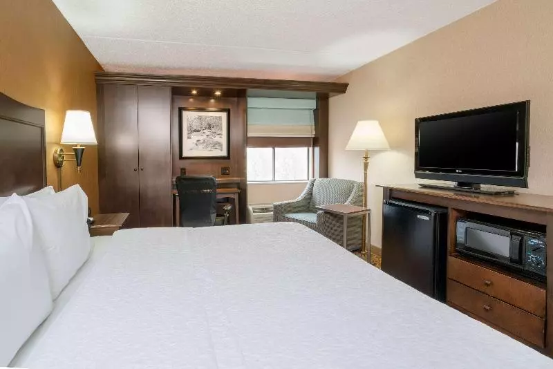 キングサイズベッドのスタンダードルーム, Hampton Inn Downingtown/exton
