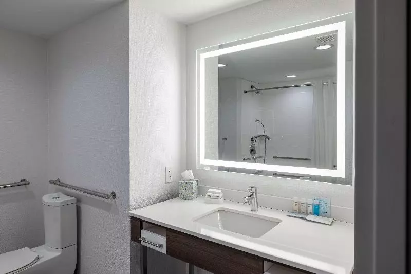 استودیو استاندارد با تخت کینگ, Hampton Inn Knoxvillewest At Cedar Bluff