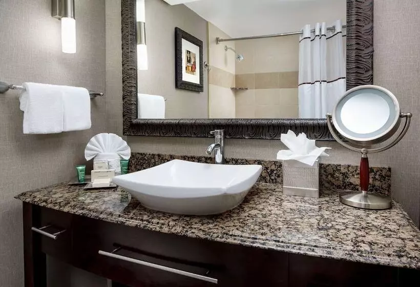 اتاق استاندارد با تخت دوبل, Hilton Charlotte University Place