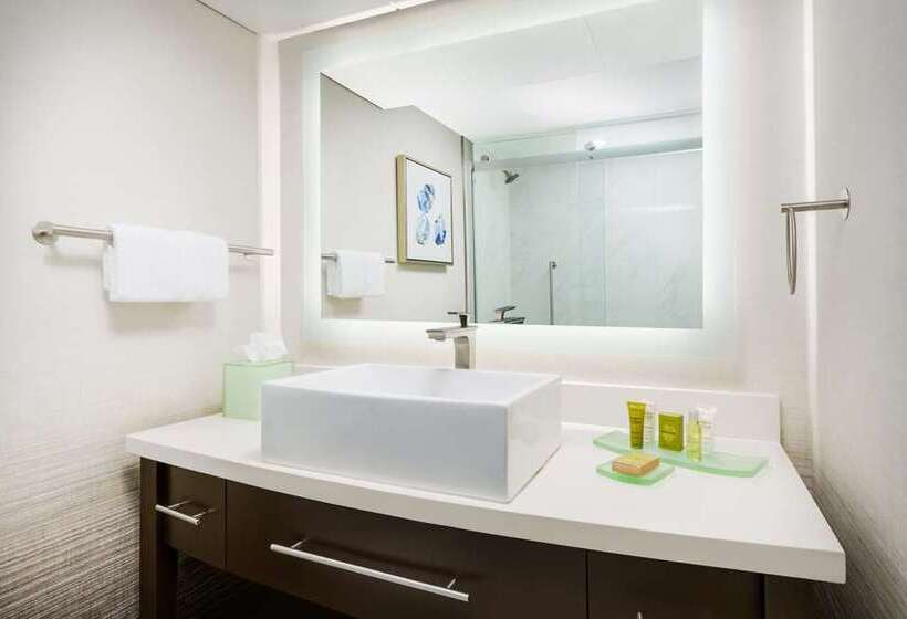Номер Executive, Hilton Charlotte University Place