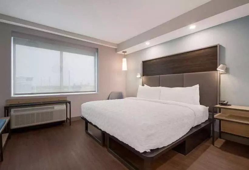 اتاق اجرایی با تخت بزرگ, Hilton Charlotte University Place