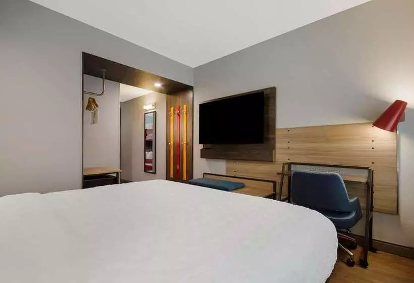 اتاق اجرایی با تخت بزرگ, Hilton Charlotte University Place
